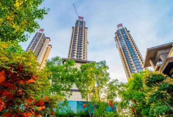 金鐘集團榮膺“中國房地產開發企業綜合實力TOP500”殊榮，彰顯行業領先地位